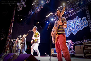 1999 reel big fish house of blues Reel Big Fish Biography,